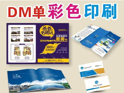 舟山单页印刷，色彩搭配简单。